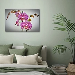 «Розовая пятнистая орхидея 1» в интерьере современной спальни в зеленых тонах