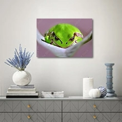 «Зелёная лягушка крупным планом» в интерьере современной гостиной с голубыми деталями