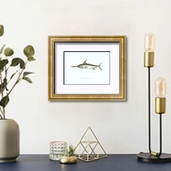 «Common Sword-fish» в интерьере комнаты с золотыми деталями