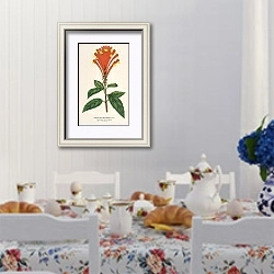 «Scutellaria Mociniana» в интерьере столовой в стиле прованс над столом