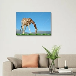 «Жираф ест траву» в интерьере современной светлой гостиной над диваном