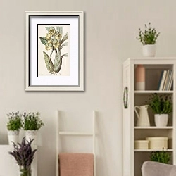 «Flat-headed Catasetum» в интерьере комнаты в стиле прованс с цветами лаванды