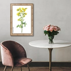 «Ветка с цветами дикого растения крестовника» в интерьере в классическом стиле над креслом
