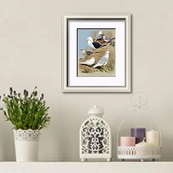 «Two kittiwake gulls, two great black-backed gulls, an ivory gull and a glaucous gull» в интерьере в стиле прованс с лавандой и свечами