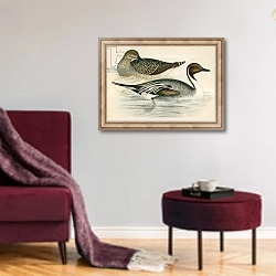 «Pintail Duck» в интерьере гостиной в бордовых тонах