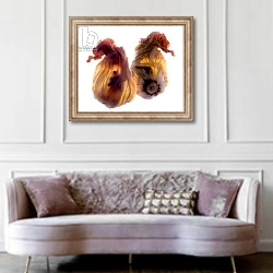 «Zucchini Blossom Duo, 2009,» в интерьере гостиной в классическом стиле над диваном