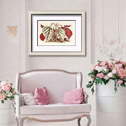«Begonia eximia» в интерьере гостиной в стиле прованс над диваном