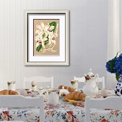 «Cattleya amethystoglossa» в интерьере столовой в стиле прованс над столом