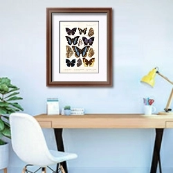 «Insecta Lepidoptera-Rhopalocera Pl 110» в интерьере кабинета в современном стиле
