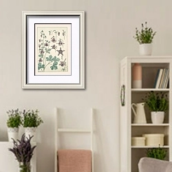«Ancolie» в интерьере комнаты в стиле прованс с цветами лаванды
