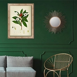 «Costus speciosus» в интерьере классической гостиной с зеленой стеной над диваном