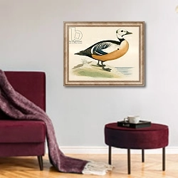 «Steller's Western Duck» в интерьере гостиной в бордовых тонах