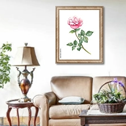 «Розовый цветок садовой розы» в интерьере гостиной в стиле прованс