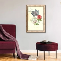 «Poppy-Anemone» в интерьере гостиной в бордовых тонах