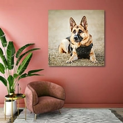 «Собака в бронежилете» в интерьере современной гостиной в розовых тонах