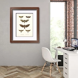 «Insecta Lepidoptera-Heterocera Pl 002» в интерьере современного кабинета на стене