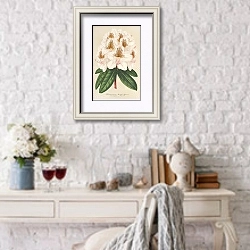 «Rhododendrum Minnie» в интерьере в стиле прованс над столиком