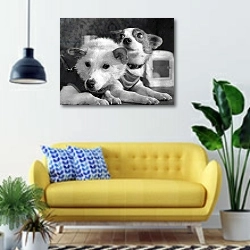 «Dogs Belka and Strelka after returning from space, 1960» в интерьере современной гостиной с желтым диваном
