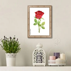 «Красный цветок розы на стебле» в интерьере в стиле прованс с лавандой и свечами