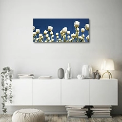«Панорама с белыми тюльпанами» в интерьере стильной минималистичной гостиной в белом цвете