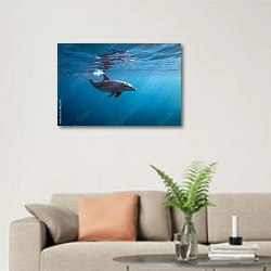 «Дельфин под водой» в интерьере современной светлой гостиной над диваном