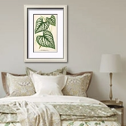 «Cissus Lindeni» в интерьере спальни в стиле прованс над кроватью