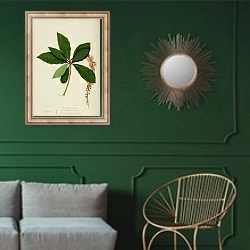«Barringtonia acutangula» в интерьере классической гостиной с зеленой стеной над диваном