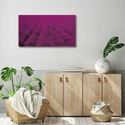 «Розовое поле лаванды» в интерьере современной комнаты над комодом
