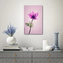 «Фиолетовый цветок на розовом фоне» в интерьере современной гостиной с голубыми деталями
