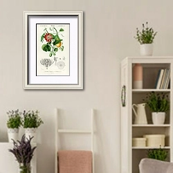 «Пассифлора Эйли» в интерьере комнаты в стиле прованс с цветами лаванды