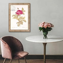 «Rosa Gallica Pontiana, from 'Les Roses' by Claude Antoine Thory» в интерьере в классическом стиле над креслом