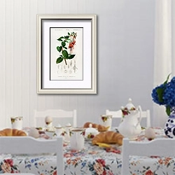 «Колибри фуксия (Fuchsia gracilis)» в интерьере столовой в стиле прованс над столом