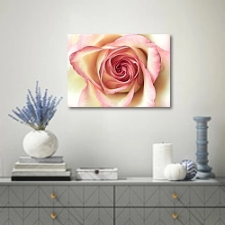 «Бело-розовая роза макро №3» в интерьере современной гостиной с голубыми деталями