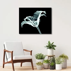 «Рентгеновское изображение цветка лилии на черном» в интерьере современной комнаты над креслом