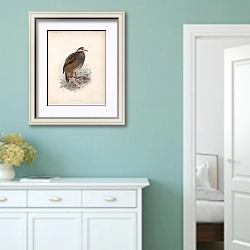 «Птицы J. G. Keulemans №76» в интерьере коридора в стиле прованс в пастельных тонах