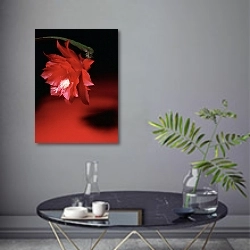 «Цветок декабриста» в интерьере современной гостиной в серых тонах