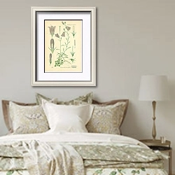 «Campanulaceae, Campanula rotundifolia» в интерьере спальни в стиле прованс над кроватью