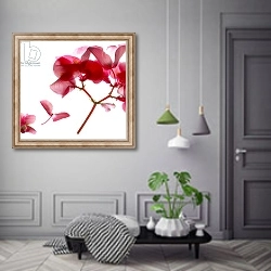 «Begonia Pink VII» в интерьере коридора в классическом стиле