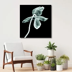 «Рентгеновское изображение цветка орхидеи на черном» в интерьере современной комнаты над креслом