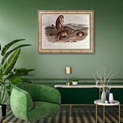 «Prairie Dog from 'Quadrupeds of North America', 1842-5,» в интерьере гостиной в зеленых тонах
