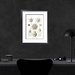 «Phaeodaria–Rohrstrahlinge» в интерьере кабинета в черных цветах над столом