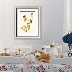 «Douglas Honeysuckle. Lonicera glaucescens» в интерьере столовой в стиле прованс над столом