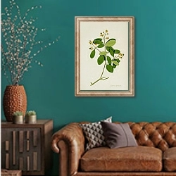 «Avicennia officinalis» в интерьере гостиной с зеленой стеной над диваном