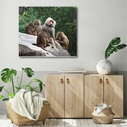 «Семейство бабуинов на камне» в интерьере современной комнаты над комодом