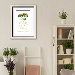 «Рододендрон древесный» в интерьере комнаты в стиле прованс с цветами лаванды