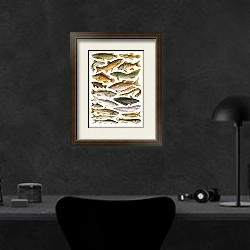 «Fresh Water Fishes of the Empire - Australian Region» в интерьере кабинета в черных цветах над столом