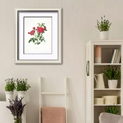 «Rosa centifolia3» в интерьере комнаты в стиле прованс с цветами лаванды