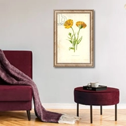 «Common Marigold» в интерьере гостиной в бордовых тонах