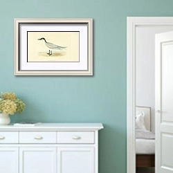 «Gull-Billed Tern 1» в интерьере коридора в стиле прованс в пастельных тонах