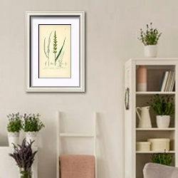 «Setaria Verticillata. Rough Bristle-grass 1» в интерьере комнаты в стиле прованс с цветами лаванды